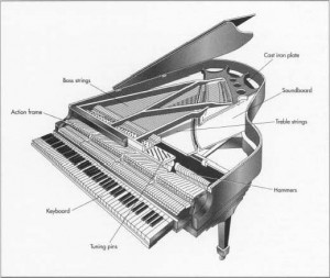 anatomie d'un piano